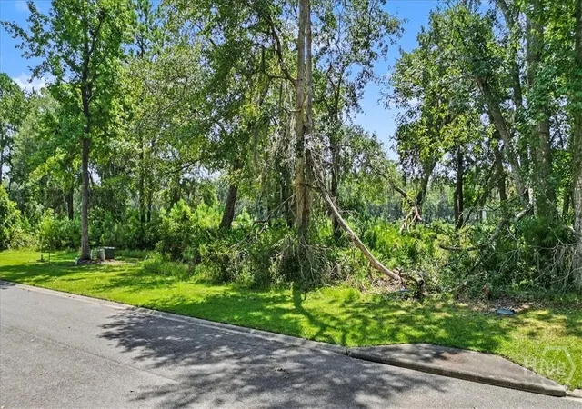 Photo 2 of Land for sale at Lot 62 Sanctuary Wynd, Waverly, GA 31565 | MLS# SA363216 | Listing updated on 2026-09-11