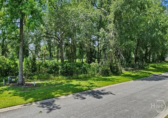 Photo 3 of Land for sale at Lot 62 Sanctuary Wynd, Waverly, GA 31565 | MLS# SA363216 | Listing updated on 2026-09-11