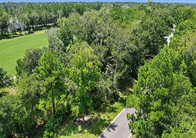 Photo 3 of Land for sale at Lot 62 Sanctuary Wynd, Waverly, GA 31565 | MLS# SA363216 | Listing updated on 2026-09-11