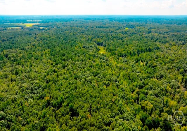 Photo 1 of Land for sale at (Undisclosed), Waynesboro, GA 30830 | MLS# SA364185 | Listing updated on 2026-09-08