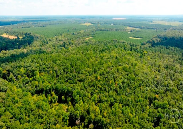 Photo 2 of Land for sale at (Undisclosed), Waynesboro, GA 30830 | MLS# SA364185 | Listing updated on 2026-09-08