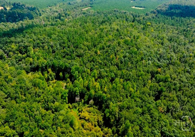 Photo 3 of Land for sale at (Undisclosed), Waynesboro, GA 30830 | MLS# SA364185 | Listing updated on 2026-09-08
