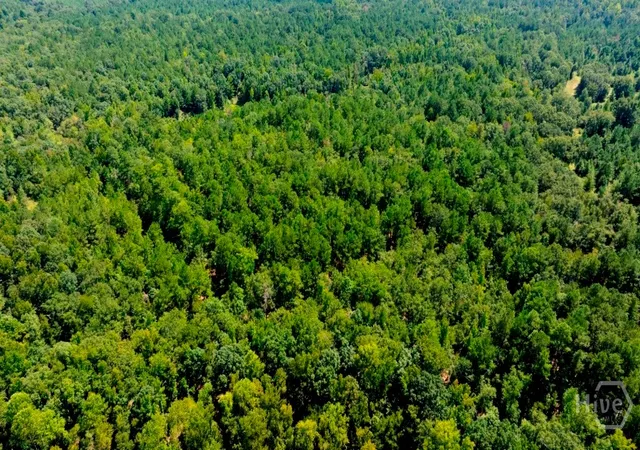 Photo 3 of Land for sale at (Undisclosed), Waynesboro, GA 30830 | MLS# SA364185 | Listing updated on 2026-09-08