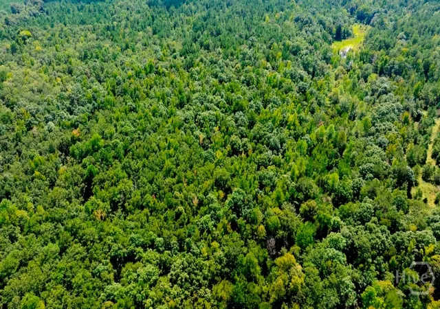 Photo 4 of Land for sale at (Undisclosed), Waynesboro, GA 30830 | MLS# SA364185 | Listing updated on 2026-09-08