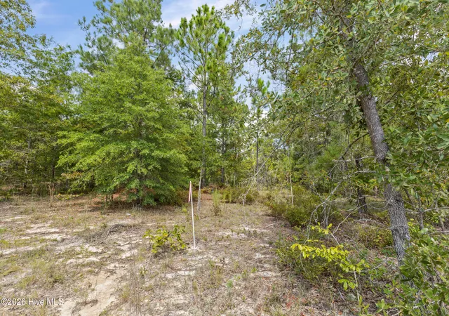 Photo 2 of Land for sale at Lot 16 Farmers Brg Rd, Hephzibah, GA 30815 | MLS# 100600688 | Listing updated on 2026-09-02