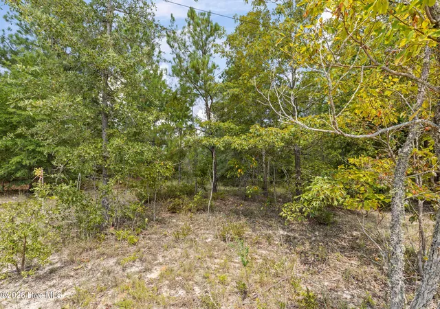 Photo 3 of Land for sale at Lot 16 Farmers Brg Rd, Hephzibah, GA 30815 | MLS# 100600688 | Listing updated on 2026-09-02