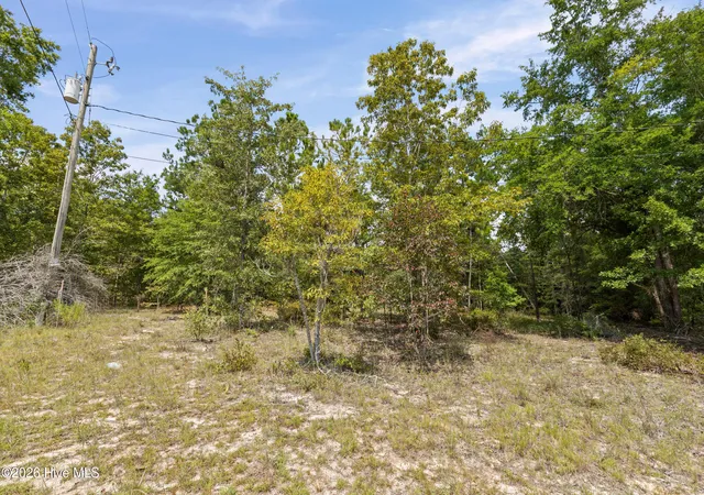Photo 3 of Land for sale at Lot 16 Farmers Brg Rd, Hephzibah, GA 30815 | MLS# 100600688 | Listing updated on 2026-09-02