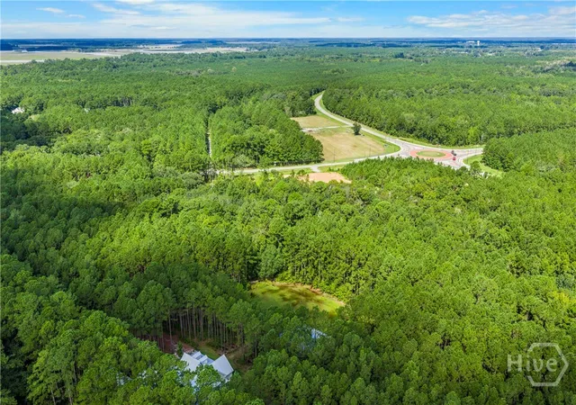 Photo 3 of Land for sale at 0000 Belfast River Rd, Richmond Hill, GA 31324 | MLS# SA364436 | Listing updated on 2026-09-15