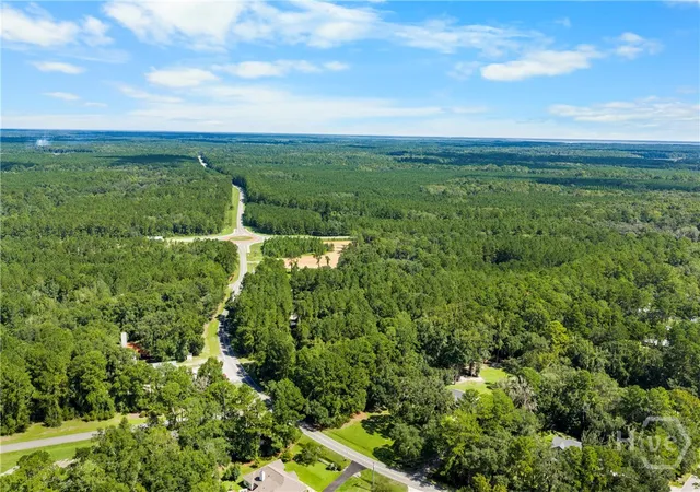Photo 4 of Land for sale at 0000 Belfast River Rd, Richmond Hill, GA 31324 | MLS# SA364436 | Listing updated on 2026-09-15