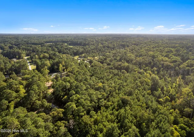 Photo 3 of Land for sale at 0 Trap St Sw, Supply, NC 28462 | MLS# 100602606 | Listing updated on 2026-09-20