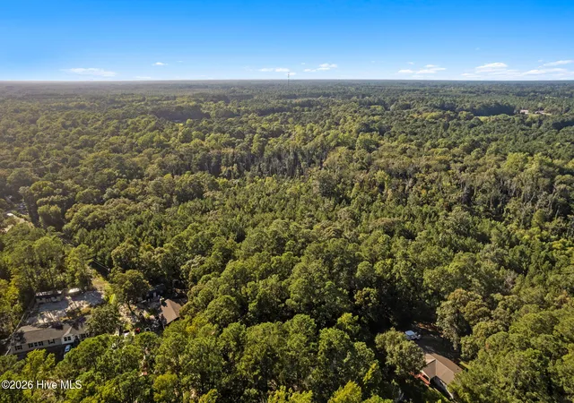 Photo 3 of Land for sale at 0 Trap St SW, Supply, NC 28462 | MLS# 100602606 | Listing updated on 2026-09-20