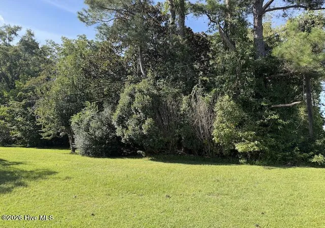 Photo 1 of Land for sale at 3133 Castle Hayne Rd, Castle Hayne, NC 28429 | MLS# 100603294 | Listing updated on 2026-09-14
