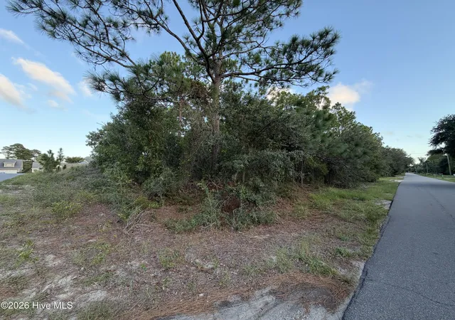 Photo 3 of Land for sale at 6061 Shiloh Dr, Wilmington, NC 28409 | MLS# 100601968 | Listing updated on 2026-09-11