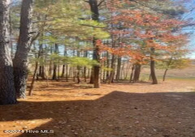 Photo 1 of Land for sale at 847 Seagull Dr, Vass, NC 28394 | MLS# 100610448 | Listing updated on 2026-10-16