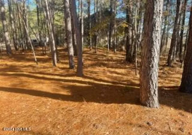 Photo 2 of Land for sale at 847 Seagull Dr, Vass, NC 28394 | MLS# 100610448 | Listing updated on 2026-10-16