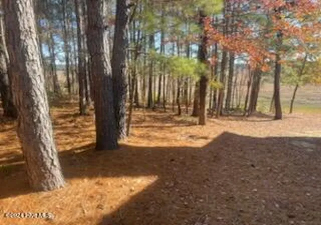 Photo 3 of Land for sale at 847 Seagull Dr, Vass, NC 28394 | MLS# 100610448 | Listing updated on 2026-10-16