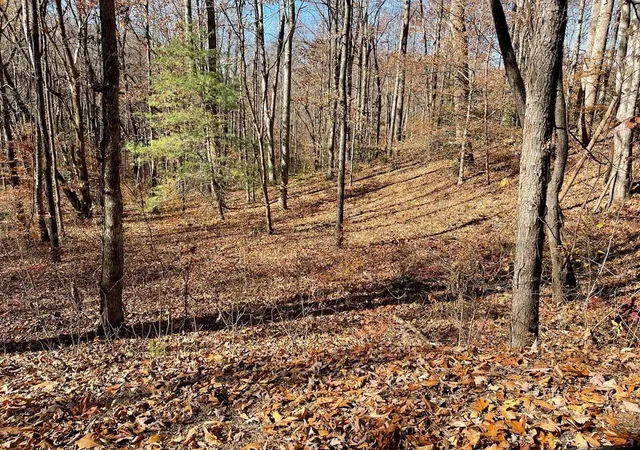Photo 1 of Land for sale at Tbd Ashe Knob Dr, Hayesville, NC 28904 | MLS# 98543812 | Listing updated on 2026-09-08
