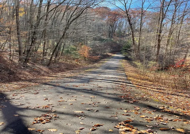 Photo 3 of Land for sale at Tbd Ashe Knob Dr, Hayesville, NC 28904 | MLS# 98543812 | Listing updated on 2026-09-08