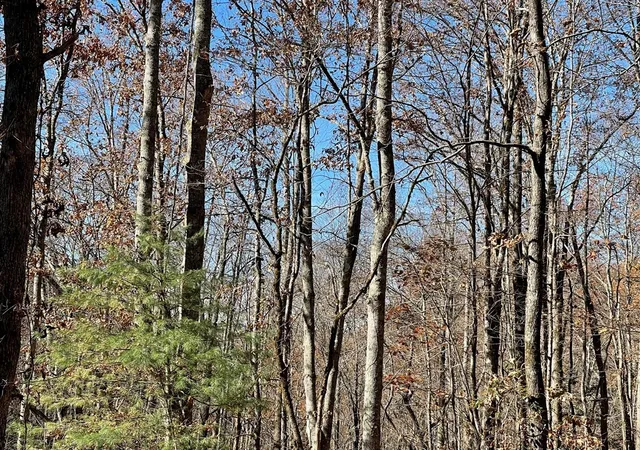 Photo 3 of Land for sale at Tbd Ashe Knob Dr, Hayesville, NC 28904 | MLS# 98543812 | Listing updated on 2026-09-08