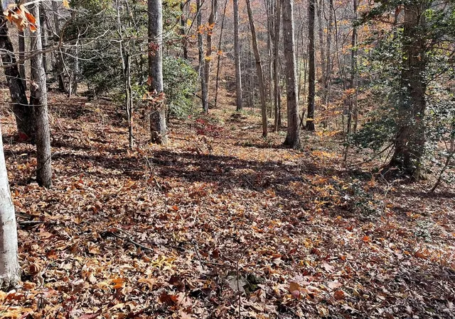 Photo 4 of Land for sale at Tbd Ashe Knob Dr, Hayesville, NC 28904 | MLS# 98543812 | Listing updated on 2026-09-08