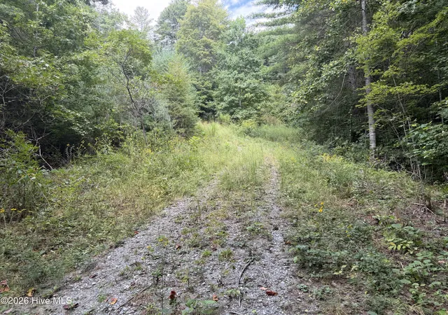 Photo 3 of Land for sale at Lot 77 Kudzu Crk Trl, Murphy, NC 28906 | MLS# 100602752 | Listing updated on 2026-09-10