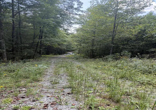 Photo 4 of Land for sale at Lot 77 Kudzu Crk Trl, Murphy, NC 28906 | MLS# 100602752 | Listing updated on 2026-09-10
