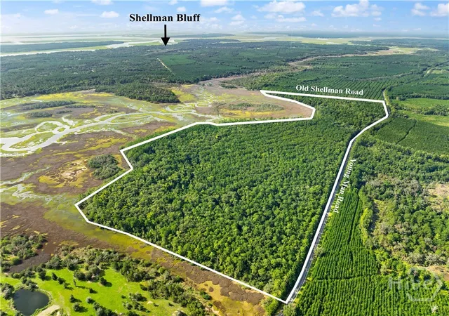 Photo 1 of Land for sale at 2265 Young Man Rd Ne, Townsend, GA 31331 | MLS# SA364259 | Listing updated on 2026-09-13