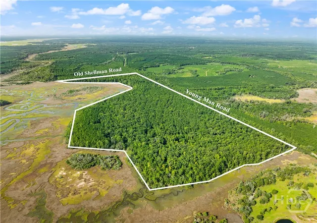 Photo 2 of Land for sale at 2265 Young Man Rd Ne, Townsend, GA 31331 | MLS# SA364259 | Listing updated on 2026-09-13