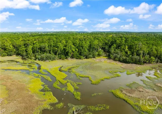 Photo 3 of Land for sale at 2265 Young Man Rd NE, Townsend, GA 31331 | MLS# SA364259 | Listing updated on 2026-09-13