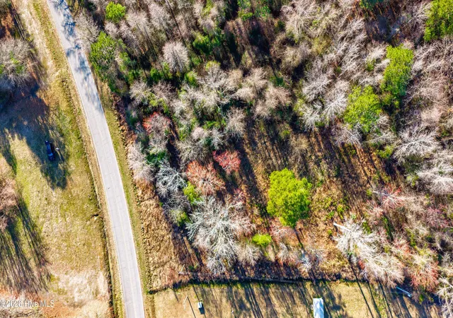 Photo 3 of Land for sale at 0 Englishtown Rd, Willard, NC 28478 | MLS# 100602559 | Listing updated on 2026-10-07