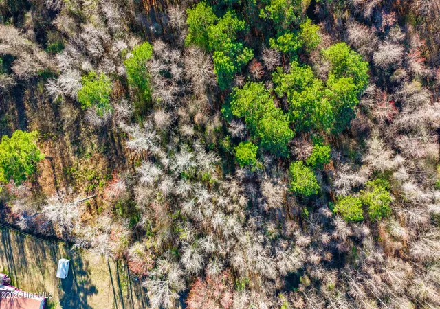 Photo 3 of Land for sale at 0 Englishtown Rd, Willard, NC 28478 | MLS# 100602559 | Listing updated on 2026-10-07