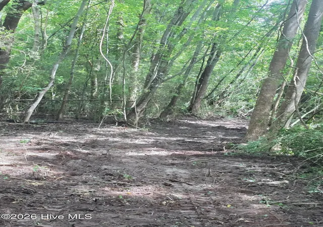 Photo 4 of Land for sale at 0 Englishtown Rd, Willard, NC 28478 | MLS# 100602559 | Listing updated on 2026-10-07