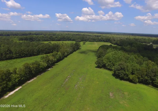 Photo 1 of Land for sale at 0 Grimesland Brg Rd, Grimesland, NC 27837 | MLS# 100600465 | Listing updated on 2026-09-01