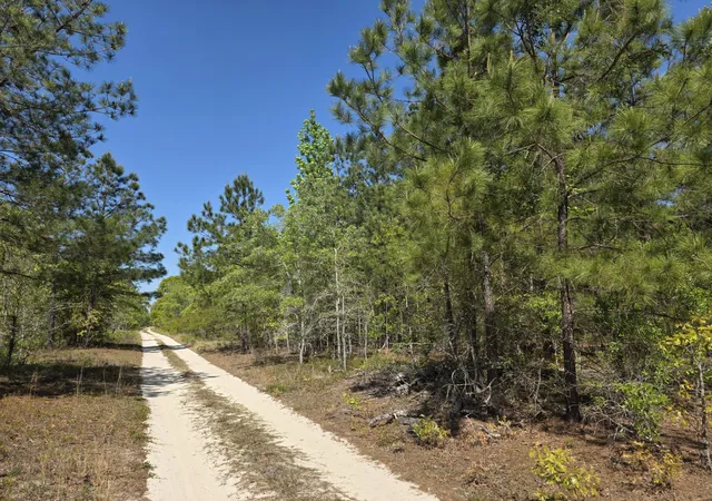 Photo 1 of Land for sale at 4a Briarwood Dr, Williston, SC 29853 | MLS# 100601491 | Listing updated on 2026-09-04