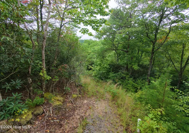 Photo 2 of Land for sale at 1621 Granny Squirrel Dr, Andrews, NC 28901 | MLS# 100603394 | Listing updated on 2026-09-14