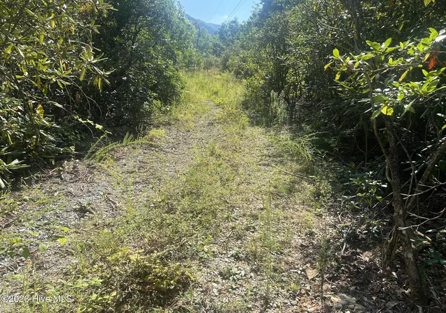 Photo 3 of Land for sale at 1621 Granny Squirrel Dr, Andrews, NC 28901 | MLS# 100603394 | Listing updated on 2026-09-14