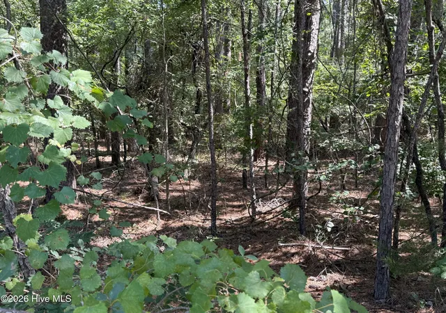 Photo 3 of Land for sale at 3 17 Bay Cir, Mc Cormick, SC 29835 | MLS# 100601910 | Listing updated on 2026-09-07