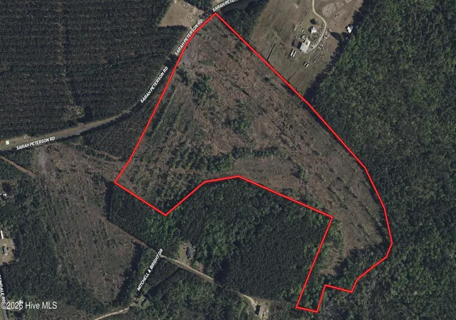 Photo 1 of Land for sale at Tbd Sarah Peterson Rd, Council, NC 28434 | MLS# 100600650 | Listing updated on 2026-10-01
