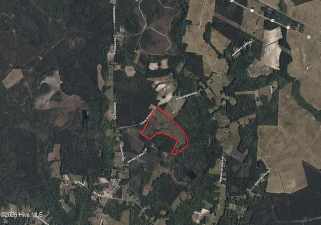 Photo 2 of Land for sale at Tbd Sarah Peterson Rd, Council, NC 28434 | MLS# 100600650 | Listing updated on 2026-10-01