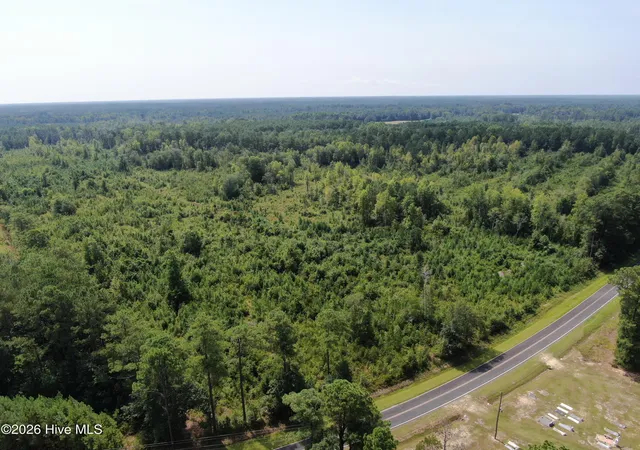 Photo 3 of Land for sale at Tbd Sarah Peterson Rd, Council, NC 28434 | MLS# 100600650 | Listing updated on 2026-10-01