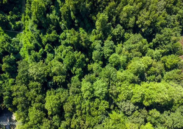 Photo 3 of Land for sale at 100 Magnolia Way, Grantsboro, NC 28529 | MLS# 100601384 | Listing updated on 2026-09-04