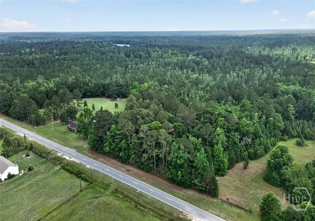 Land for sale at 0 Ga 46, Pembroke, GA 31321 | MLS# SA356558