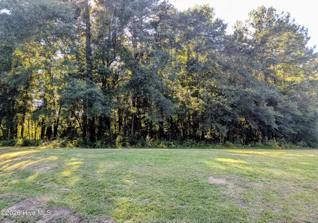 Photo 1 of Land for sale at 24 Baltimore Rd, Riegelwood, NC 28456 | MLS# 100600816 | Listing updated on 2026-09-07