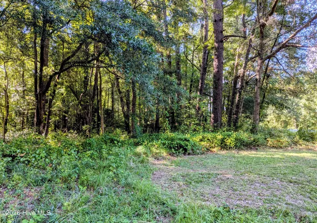 Photo 3 of Land for sale at 24 Baltimore Rd, Riegelwood, NC 28456 | MLS# 100600816 | Listing updated on 2026-09-07