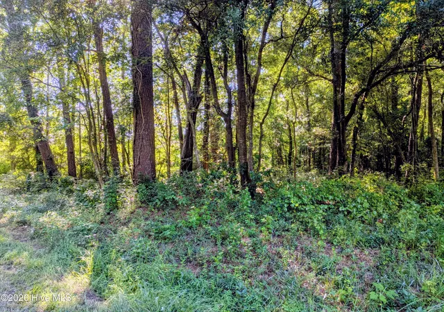 Photo 3 of Land for sale at 24 Baltimore Rd, Riegelwood, NC 28456 | MLS# 100600816 | Listing updated on 2026-09-07