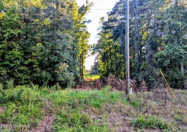 Photo 4 of Land for sale at 24 Baltimore Rd, Riegelwood, NC 28456 | MLS# 100600816 | Listing updated on 2026-09-07