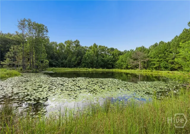 Photo 2 of Single family home for sale at 426 Adams Rd, Bloomingdale, GA 31302 | MLS# SA364263 | Listing updated on 2026-09-10