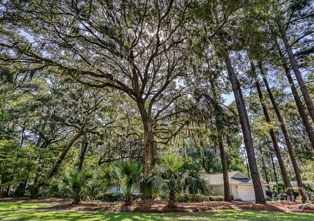 Photo 4 of Single family home for sale at 262 Wiley Btm Rd, Savannah, GA 31411 | MLS# SA363067 | Listing updated on 2026-09-05
