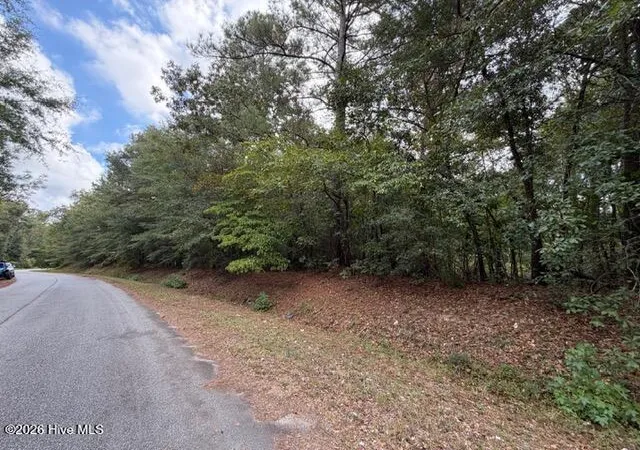 Photo 3 of Land for sale at 4441 Keys Rd, Hephzibah, GA 30815 | MLS# 100603097 | Listing updated on 2026-09-12