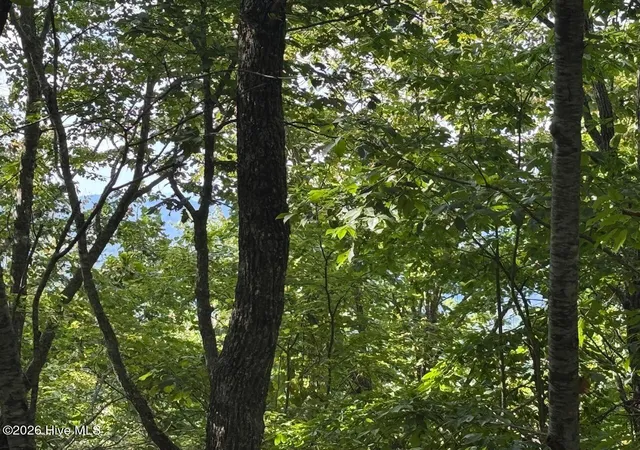 Photo 1 of Land for sale at 18 Mason Way, Murphy, NC 28906 | MLS# 100602730 | Listing updated on 2026-09-10